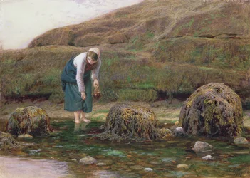 O coletor de Winkle, 1869